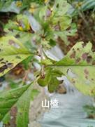 taptap官方网站