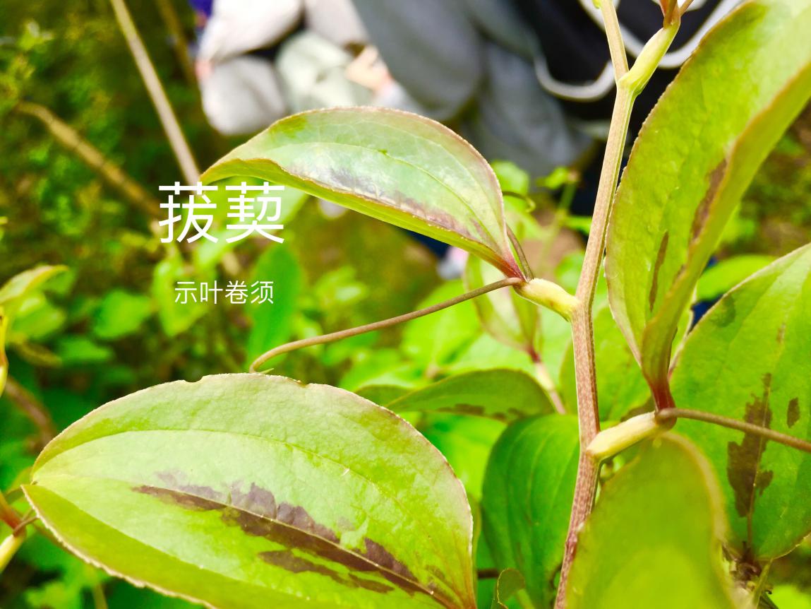 taptap官方网站