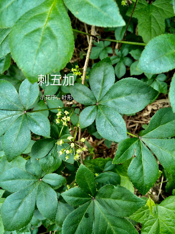 taptap官方网站