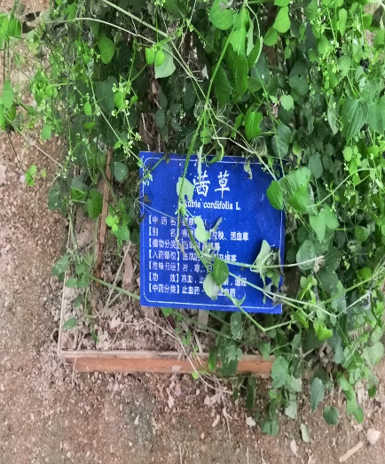 taptap官方网站